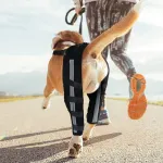 Best Dog Brace For ACL Tear | Dog Cruciate Ligament Brace For Sale | LOVEPLUSPET
