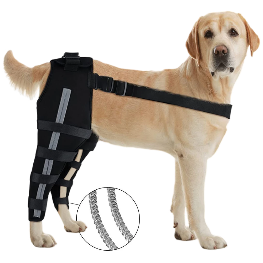 Best Dog Brace For ACL Tear & Dog Cruciate Ligament For Sale | LOVEPLUSPET