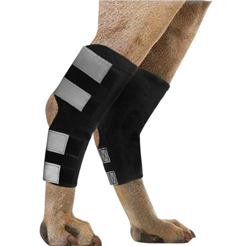 Best Dog Ankle Brace For Sale | LOVEPLUSPET