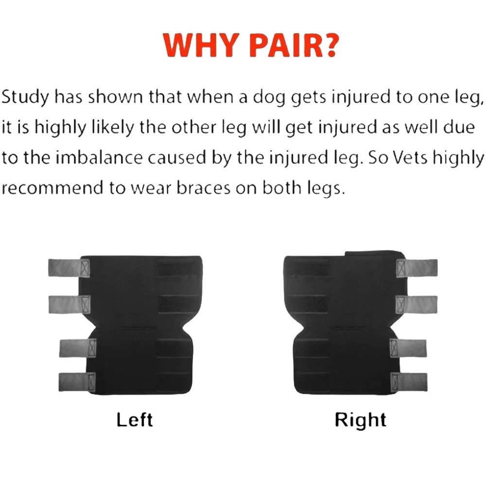 Best Dog Ankle Brace For Sale | LOVEPLUSPET