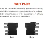 Best Dog Ankle Brace For Sale | LOVEPLUSPET