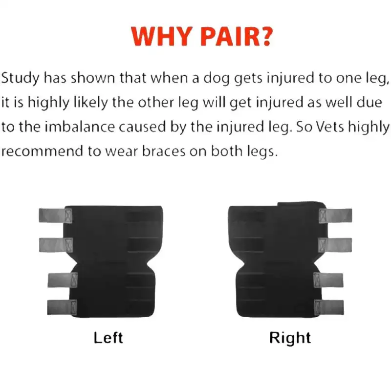 Best Dog Ankle Brace For Sale | LOVEPLUSPET
