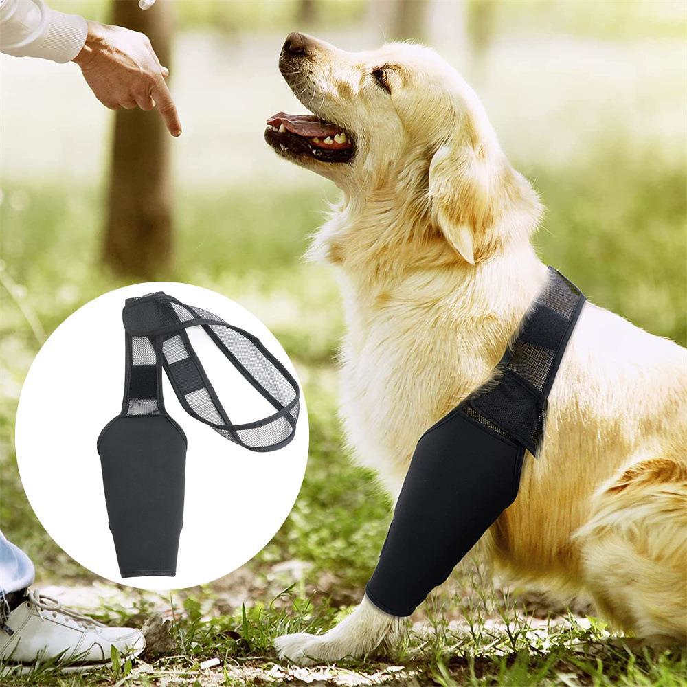 Best Dog Elbow Support Brace For Sale LOVEPLUSPET
