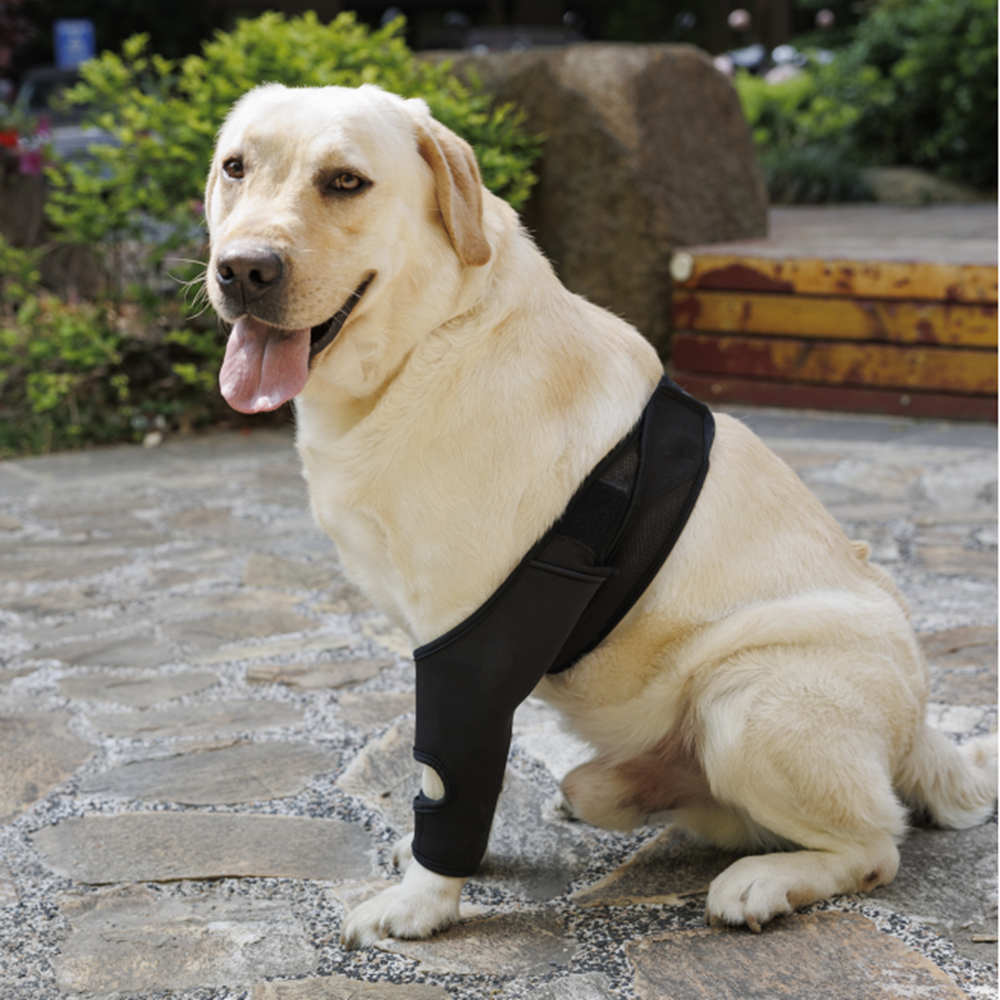 Best Dog Elbow Support Brace For Sale | LOVEPLUSPET