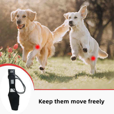 Dog Elbow Support Brace