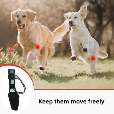 Dog Elbow Support Brace 02