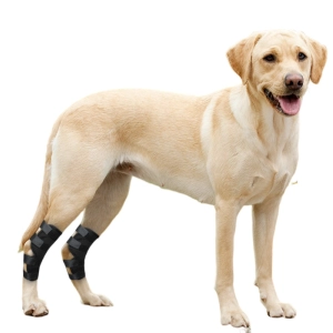 Hock Support Brace For Dog