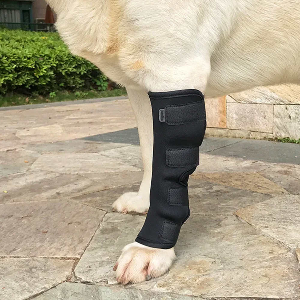 Best Dog Hock Support Brace For Sale | LOVEPLUSPET
