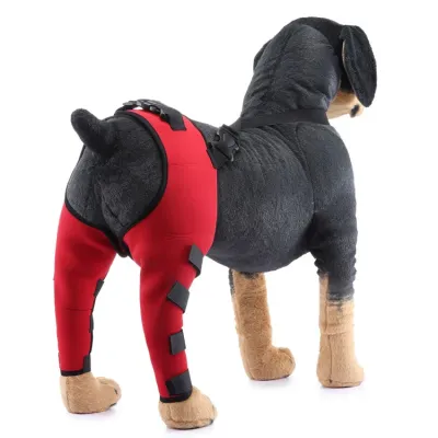 Dog Double Leg Brace Color 01