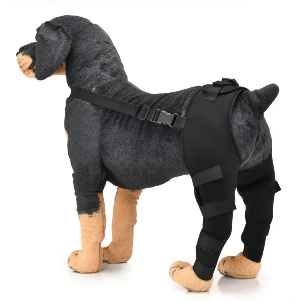 Best Double Knee Brace For Dogs Hind Legs For Sale | LOVEPLUSPET