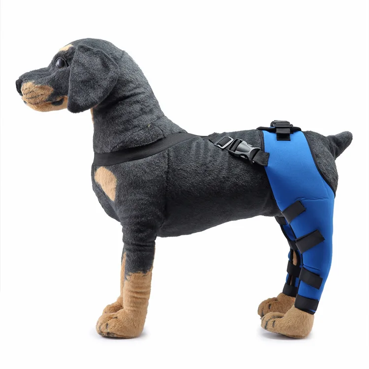 Best Double Knee Brace For Dogs Hind Legs For Sale | LOVEPLUSPET