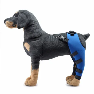 Dog Double Leg Brace Color 02