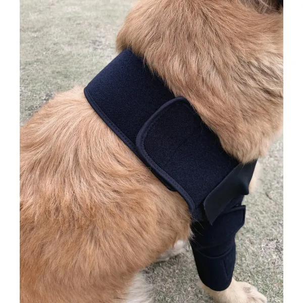 Best Dog Elbow Dysplasia Brace | Dog Elbow Support For Sale | LOVEPLUSPET