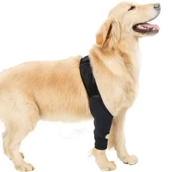 Best Dog Elbow Support For Sale | LOVEPLUSPET