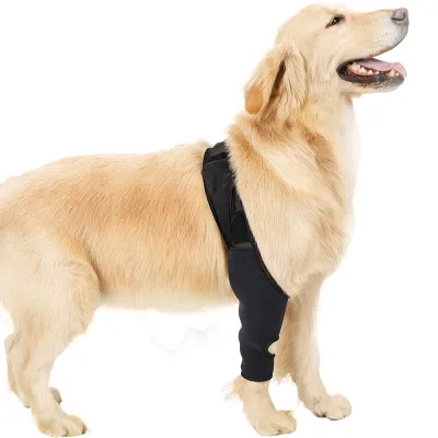 Dog Elbow Support Brace 01