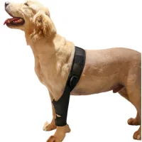 Best Dog Elbow Support For Sale | LOVEPLUSPET