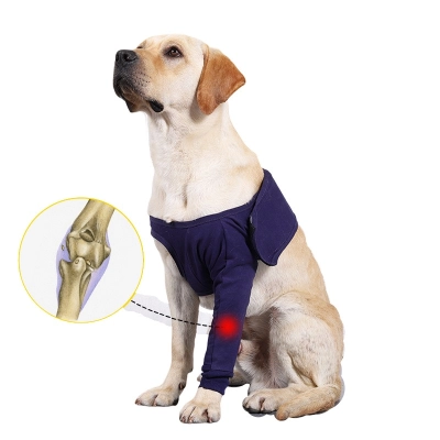 Dog Elbow Wrap 02