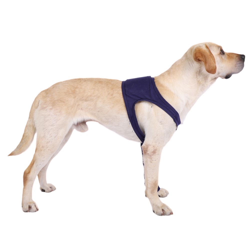 Best Dog Elbow Wrap For Sale | LOVEPLUSPET