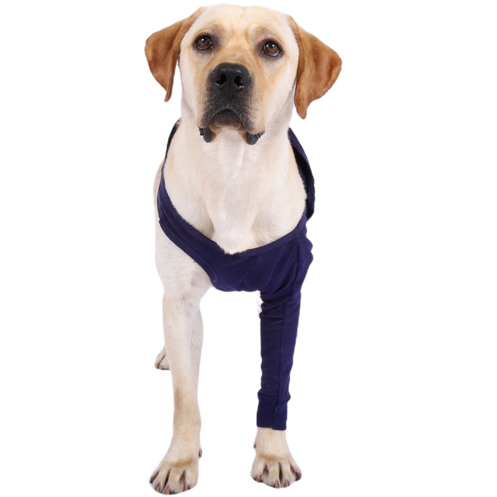 Best Dog Elbow Wrap For Sale | LOVEPLUSPET