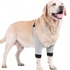 Dog Front Elbow Brace