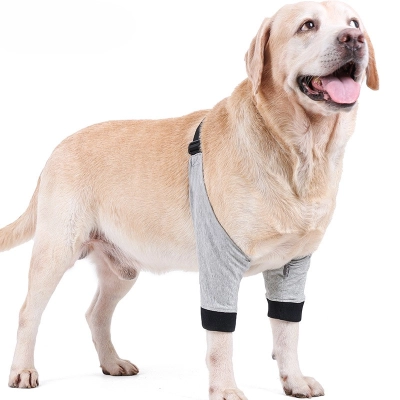 Dog Front Elbow Brace 01