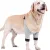 Dog Front Elbow Brace