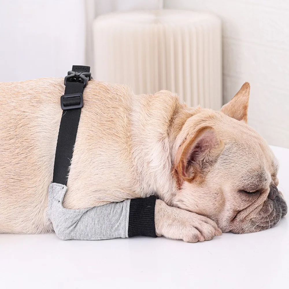 Best Dog Front Elbow Brace For Sale | LOVEPLUSPET