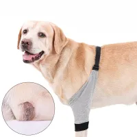 Best Dog Front Elbow Brace For Sale | LOVEPLUSPET