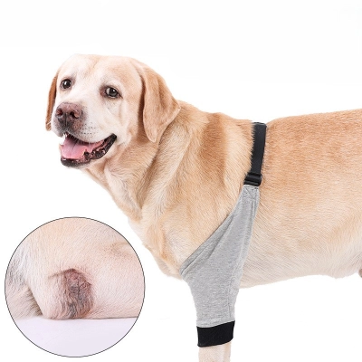 Dog Front Elbow Brace 02