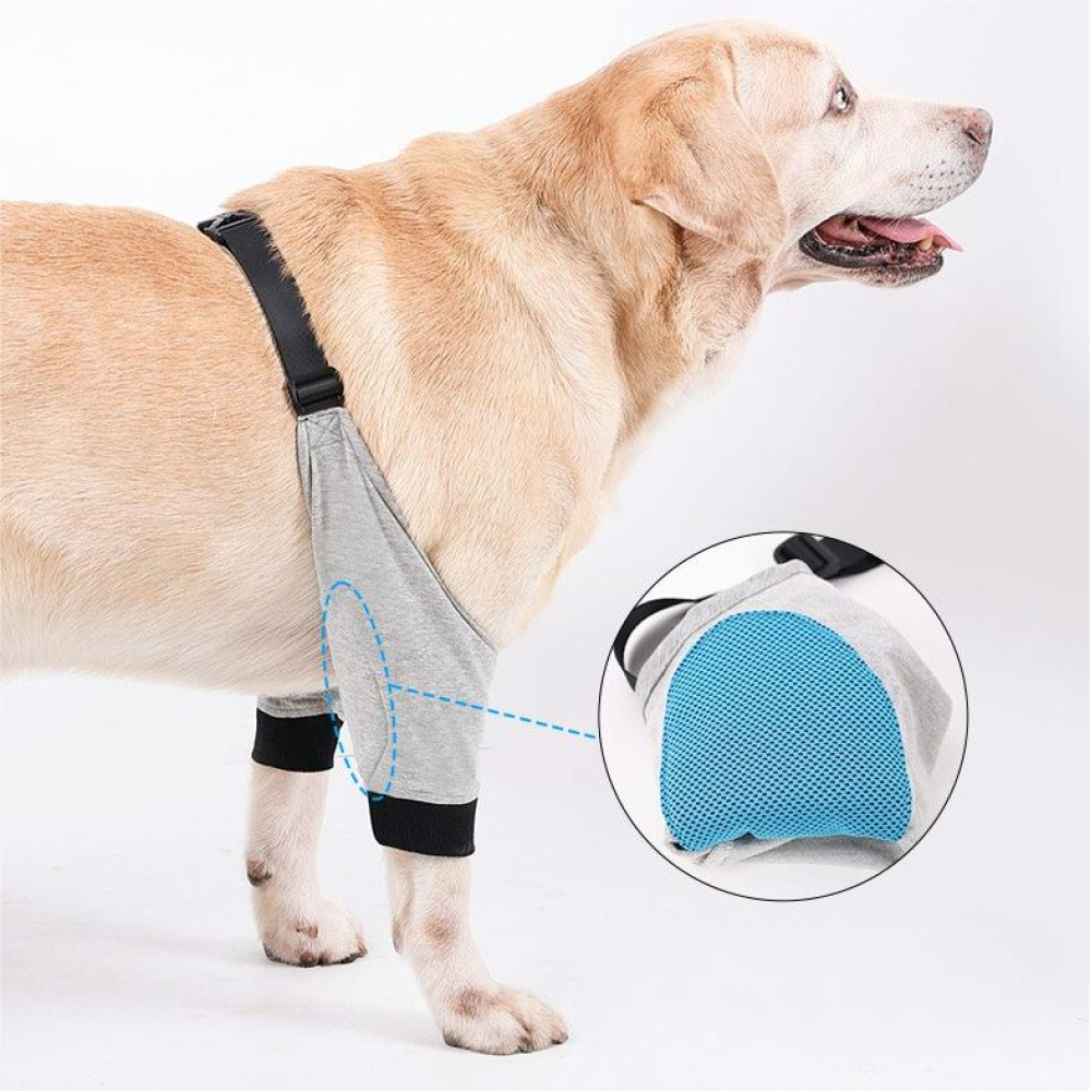 Best Dog Front Elbow Brace For Sale | LOVEPLUSPET