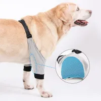 Best Dog Front Elbow Brace For Sale | LOVEPLUSPET