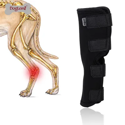Hock Support Brace For Dog 02