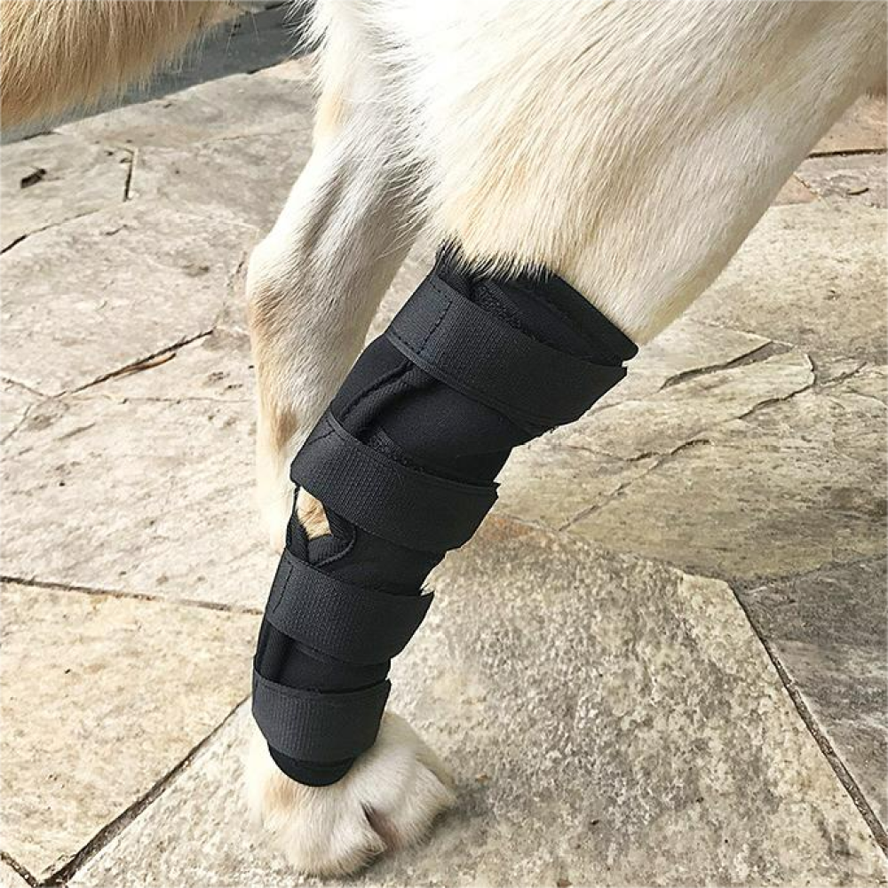 Best Dog Hock Support Brace For Sale | LOVEPLUSPET