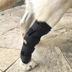 Best Dog Hock Support Brace For Sale | LOVEPLUSPET