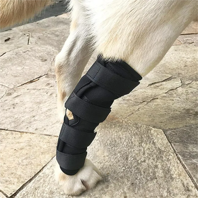 Best Dog Hock Support Brace For Sale | LOVEPLUSPET