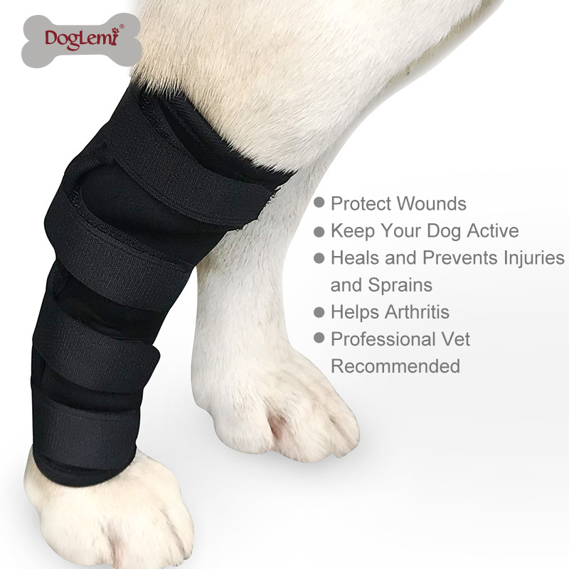 Best Dog Hock Support Brace For Sale | LOVEPLUSPET