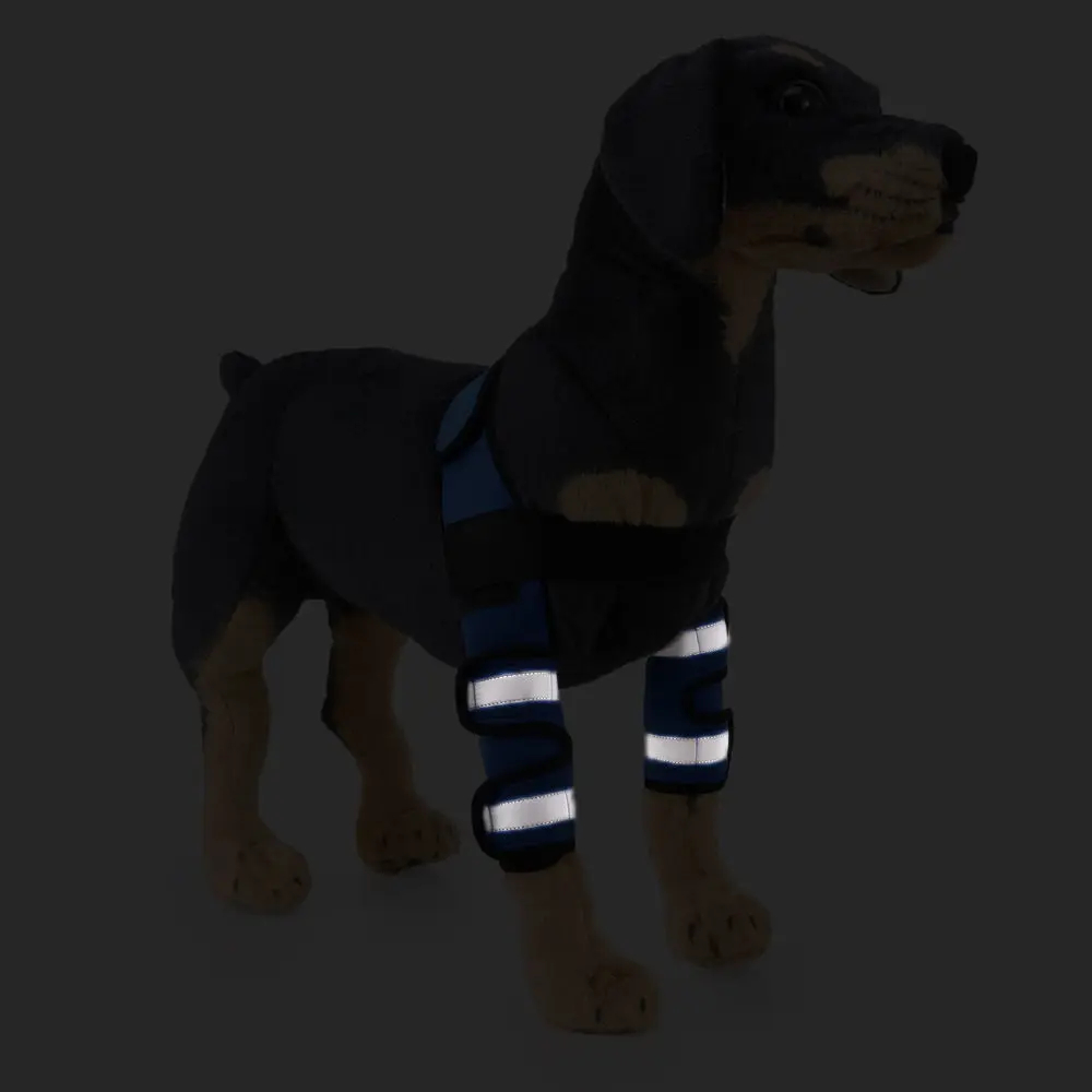 Best Dog Shoulder Support Brace For Sale | LOVEPLUSPET