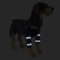 Best Dog Shoulder Support Brace For Sale | LOVEPLUSPET