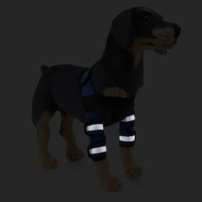 Hinged Dog Shoulder Support 02