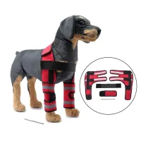 Best Dog Shoulder Support Brace For Sale | LOVEPLUSPET