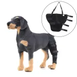 Best Dog Brace Support Hind Leg For Sale | LOVEPLUSPET