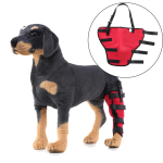 Best Dog Brace Support Hind Leg For Sale | LOVEPLUSPET