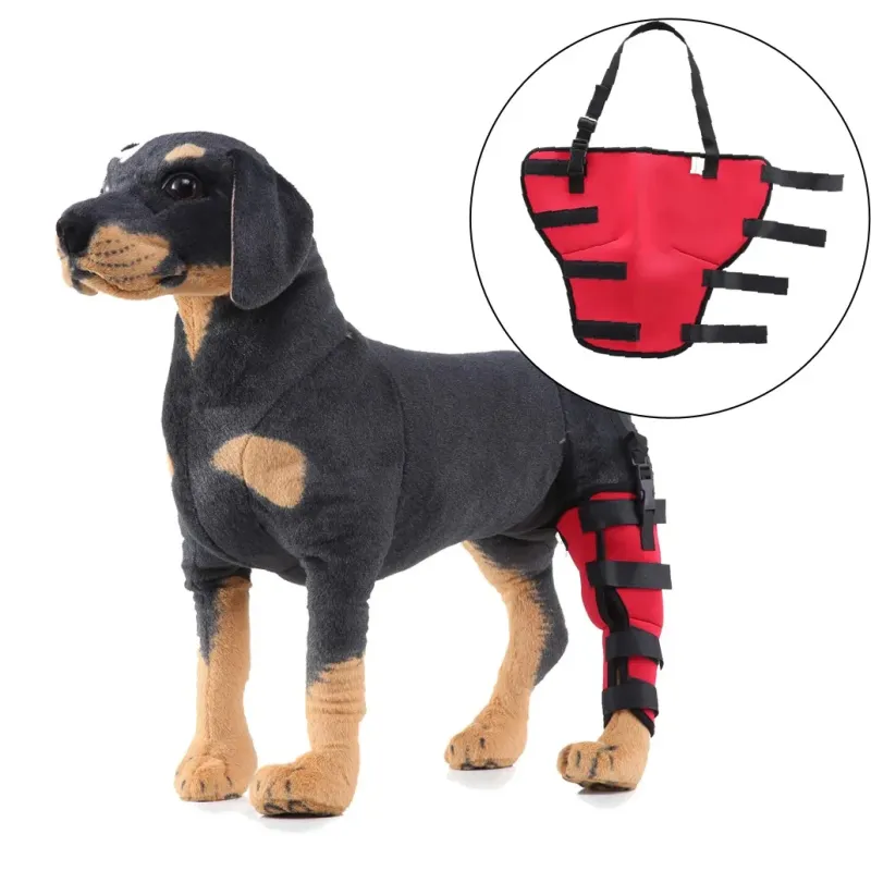 Best Dog Brace Support Hind Leg For Sale | LOVEPLUSPET