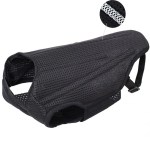 Best Back Brace For Dogs With IVDD For Sale | Lovepluspet