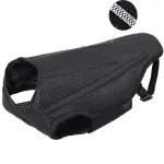 Best Back Brace For Dogs With IVDD For Sale | Lovepluspet