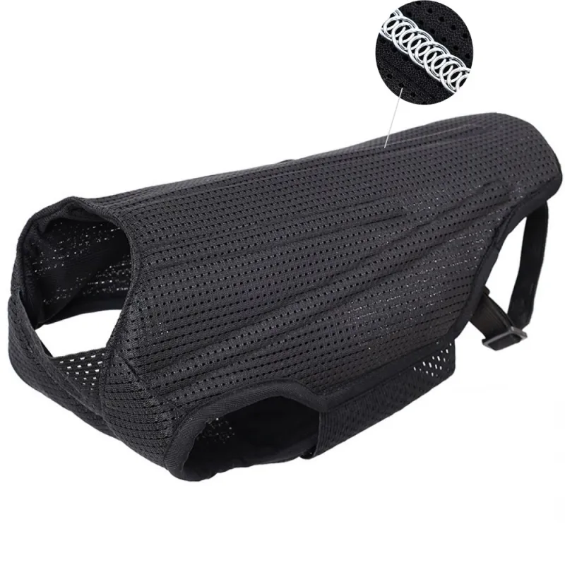 Best Back Brace For Dogs With IVDD For Sale | Lovepluspet