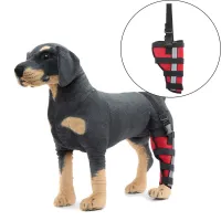 Best Leg Support For Dogs For Sale | LOVEPLUSPET