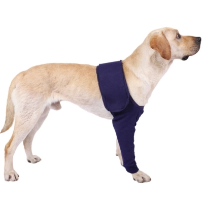 Dog Elbow Wrap 01