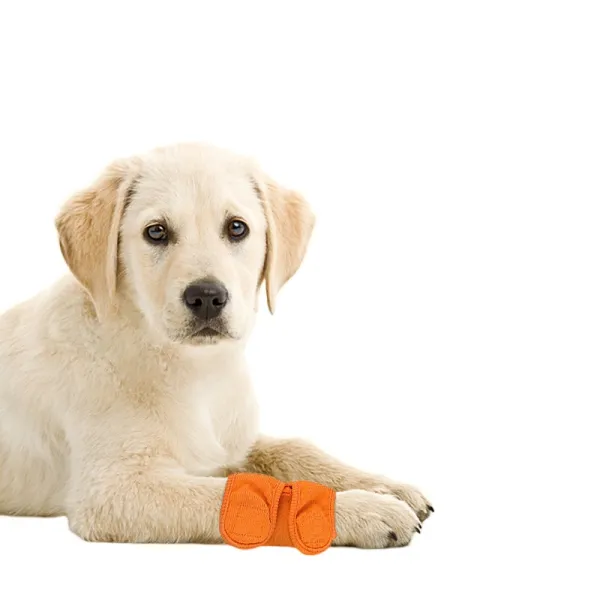 Best Wrist & Carpal Wrap For Dogs For Sale | Lovepluspet
