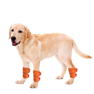 Dog Wrist Wrap